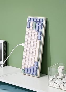 Amazon.co.jp: Varmilo Minilo Eucalyptus 有線 67 ANSI